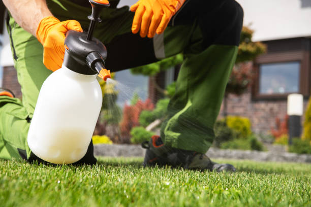 Trusted Bressler, PA Pest Control Experts