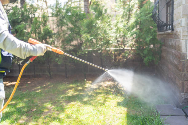 Best Rodent Control Near Me  in Bressler, PA