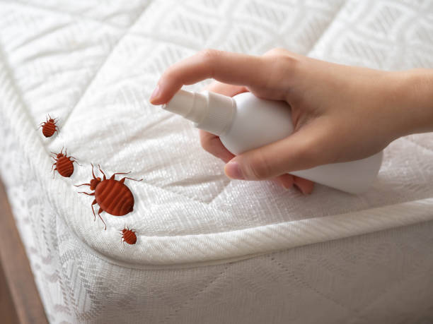 Best Wildlife Control Services  in Bressler, PA